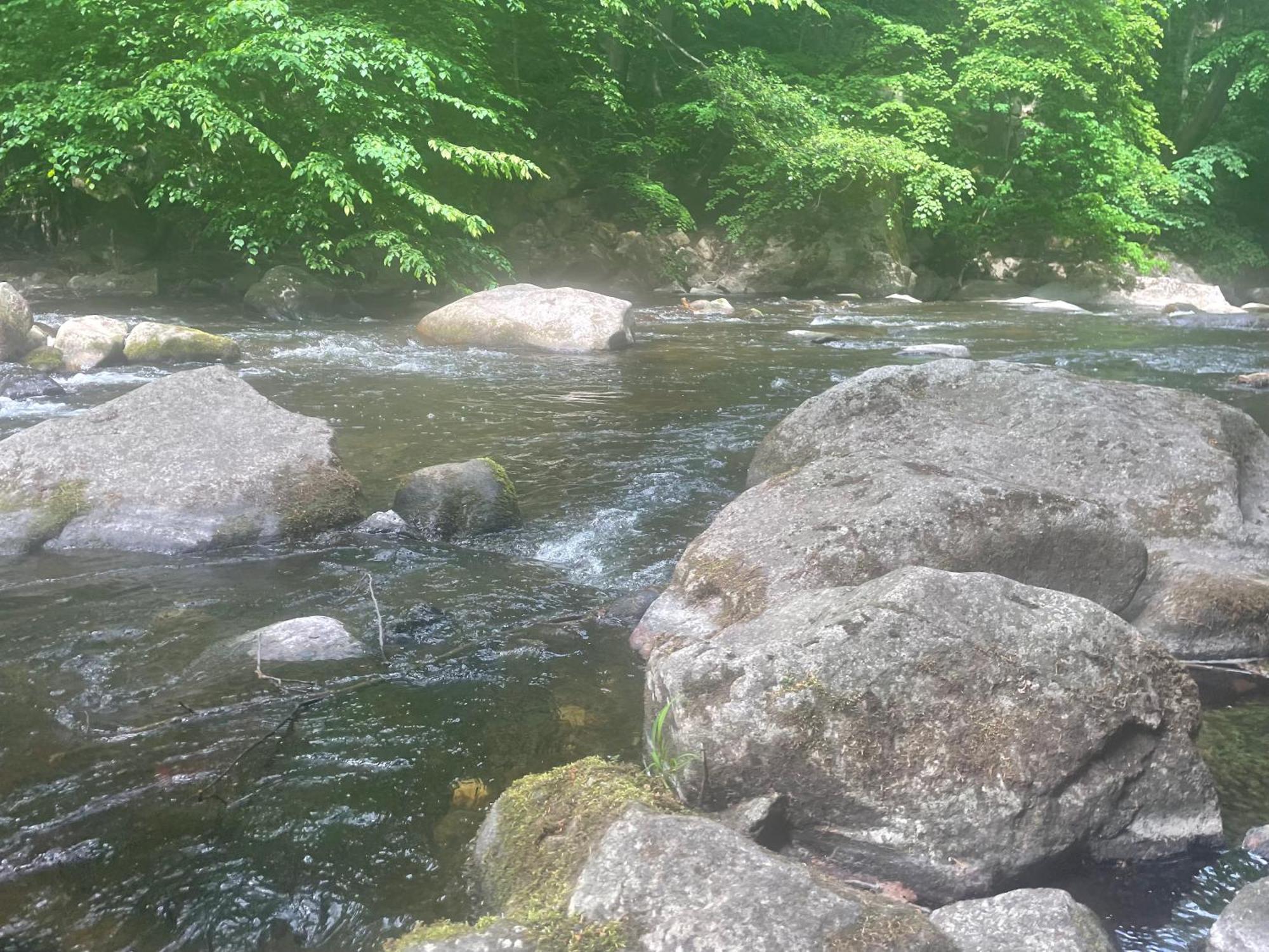 Harzhotel Warnstedter Krug Thale Dış mekan fotoğraf