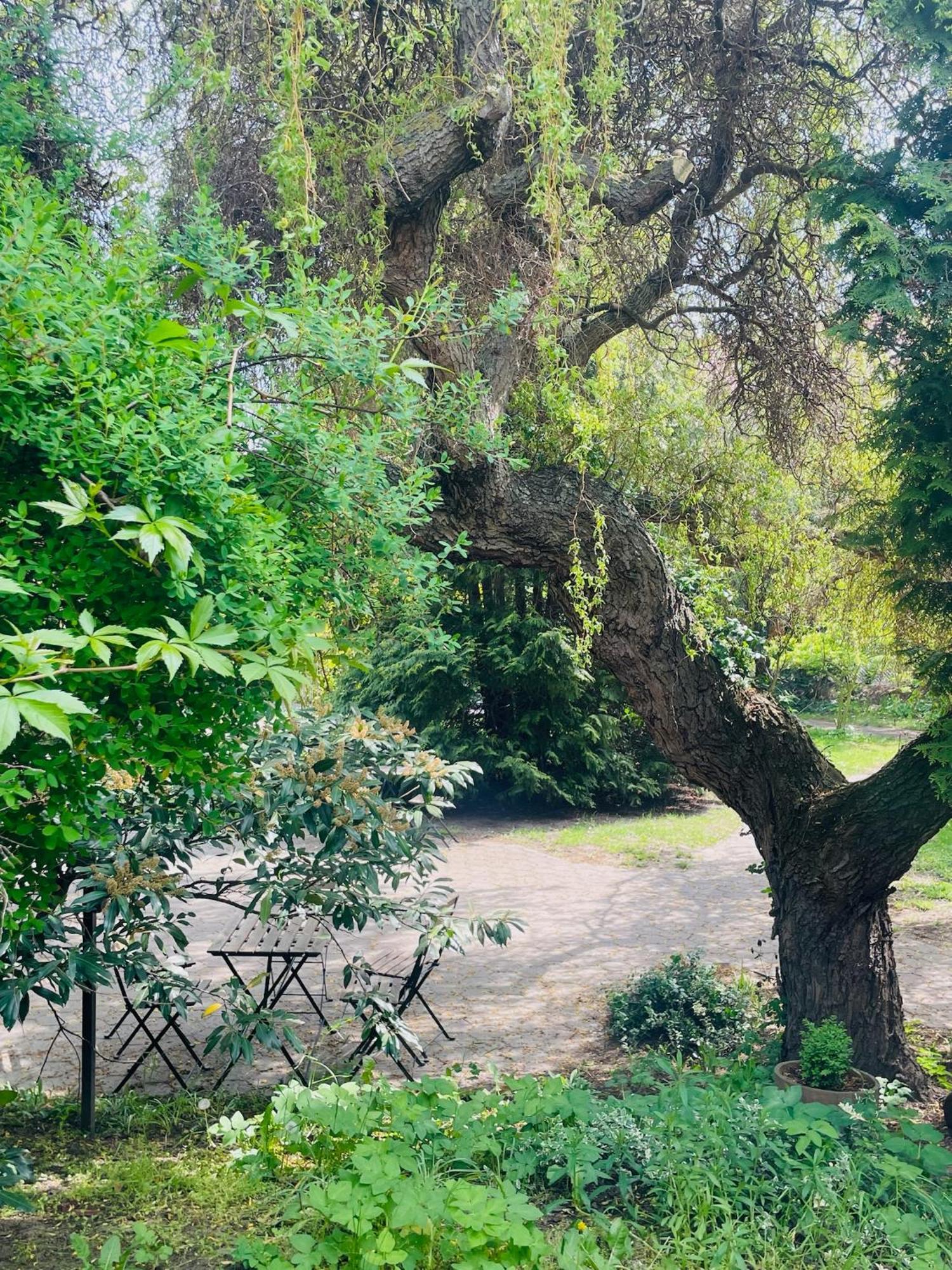 Harzhotel Warnstedter Krug Thale Dış mekan fotoğraf
